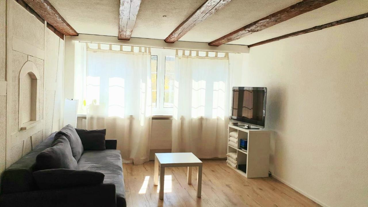 Cozy Apartment Close To Zurich Airport And City Oberglatt エクステリア 写真