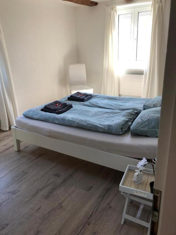 Cozy Apartment Close To Zurich Airport And City Oberglatt エクステリア 写真