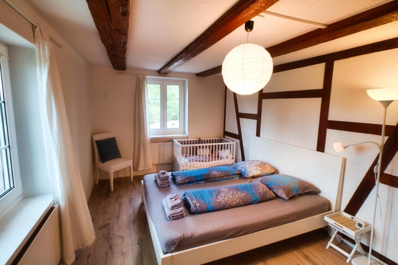 Cozy Apartment Close To Zurich Airport And City Oberglatt エクステリア 写真