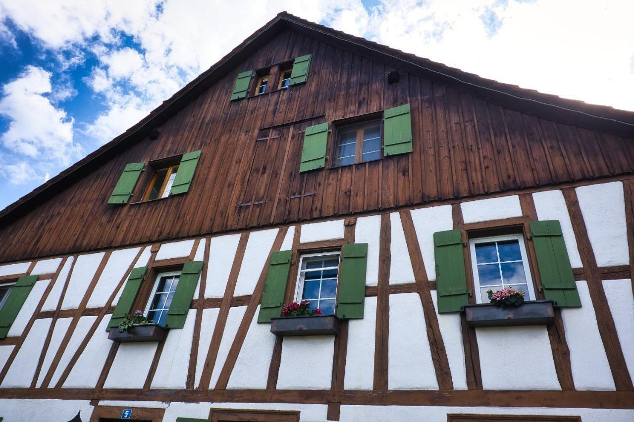 Cozy Apartment Close To Zurich Airport And City Oberglatt エクステリア 写真