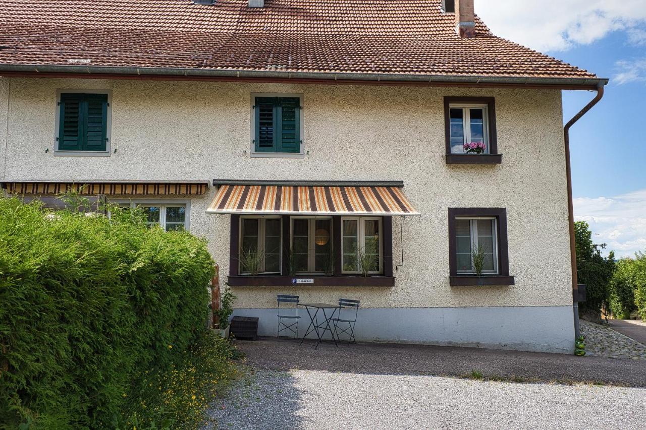 Cozy Apartment Close To Zurich Airport And City Oberglatt エクステリア 写真